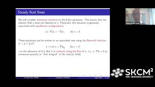 Dr Daniel PeraltaSalas ICMAT Steady incompressible fluid flows a zoo of complexity [upl. by Aramoiz143]