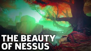 Destiny 2  Nessus Exploration Gameplay [upl. by Ikey]