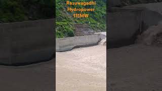 Rasuwagadhi hydropower hydropower flood entertainment world shorts short [upl. by Pavla]