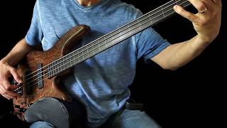 Ambient Fretless Bass Solo  While They Sleep [upl. by Campy]