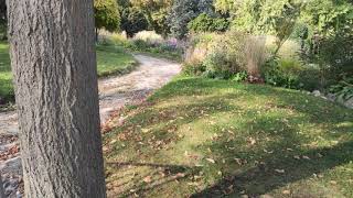 Park Baden bei Wien Herbst Ausflug Doblhoffpark [upl. by Armilla]