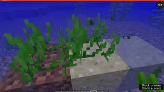 Backported Flora 1122 Forge Mod Overview [upl. by Aciraj]