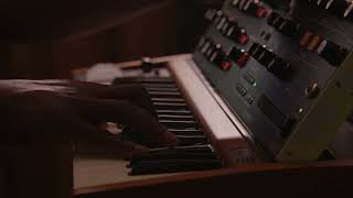 Behringer Poly D  Creating Music No Talking [upl. by Eniarda]