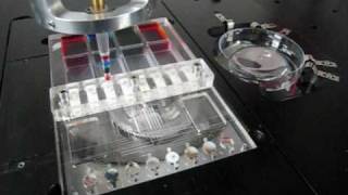 quotDisposable Pumpquot for Microfluidic Systems [upl. by Nap296]