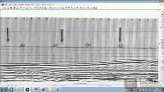 Vectoriser un raster au format SEGY  tutoenvrac10 [upl. by Parsons]