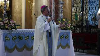 Homilía de Mons García Cuerva en la Basílica de Nuestra Señora de la Piedad [upl. by Siseneg]