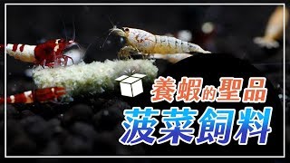 試吃菠菜口味蝦飼料！水晶蝦和米蝦都愛不釋手｜草影開箱｜AC草影水族 [upl. by Asyle977]