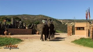 Botlierskop Private Game Reserve Mossel Bay Garden Route South Africa  Africa Travel Channel [upl. by Asir]