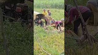 Farmers Harvester philippines farming [upl. by Alsi]