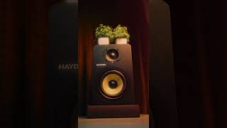 Unboxing HAYDEN STUDIO MONITORS  Best For Beginners musicproduction music musicproducer [upl. by Noiemad]