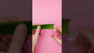 SMART ALOE VERA BEAUTY HACKS  New Girly Hacks And Tips by 123 GO SHORTS shorts [upl. by Doowle]