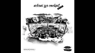 Wakadinali  quotUjinga Ujingaquot Official Audio [upl. by Freudberg]