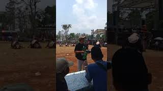 SENI BANTENGAN MAHESO DAMARJATI TEJOWANGI PURWOSARI PASURUAN JAWA TIMUR [upl. by Trant552]