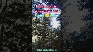 Kilitli kapilari açan mucize dua dua foryou allah duet cat [upl. by Jerrylee229]