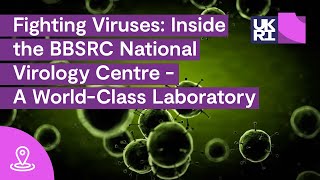 Fighting Viruses Inside the BBSRC National Virology Centre  A WorldClass Laboratory [upl. by Bethina]