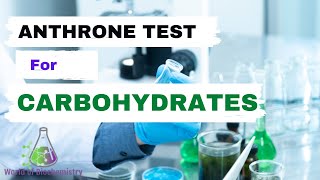 Anthrone Test  General test for Carbohydrates [upl. by Noxas891]