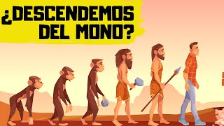 🐒TEORÍA de la EVOLUCIÓN de DARWIN ✅ EXPLICACIÓN RÁPIDA y SENCILLA [upl. by Wit865]