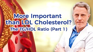 More Important than LDL Cholesterol The TGHDL Ratio Part 1 [upl. by Atalanta]