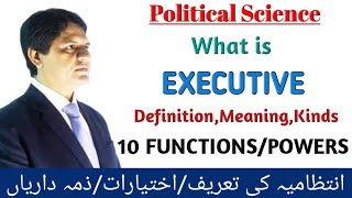 WHAT IS EXECUTIVE DefinitionMeaningkindsWhat are FunctionsPowers of Executive The Peak Seekers [upl. by Breech]