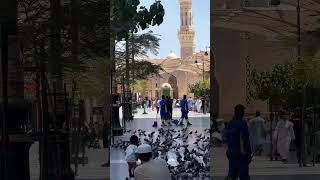 Wo shams tashrif la rhe hainislamicshorts makkahmadinah supportme viralshort likeandsubscribe [upl. by Anzovin603]