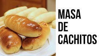 En Vivo  RECETA de Masa de Cachitos Venezolanos Actualizada y a tiempo real [upl. by Jane]