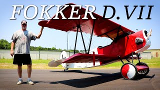 A 25k Airplane 80 Scale You Can FLY Like its World War 1  Fokker DVII [upl. by Eybba]