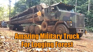 Amazing Trailer Truck Oshkosh M1070 HET 6x6 Military Truck For Logging Forest [upl. by Zoila589]