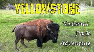 Yellowstone National Park Adventure [upl. by Enilekcaj]