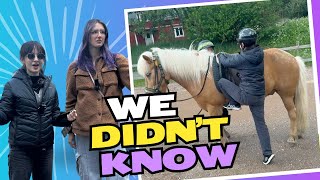 We Went Horseback Riding in Sweden And it was a SURPRISE  EuroTrip 2024 [upl. by Sallyanne]