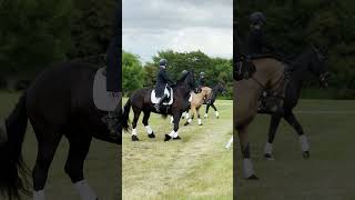 ASFR Redpost show reel equestrian horse allstepsformationriding formationriding [upl. by Janet]