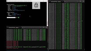 💢Chrysler C2 Botnet VS 25GBs OVH Anti DDoS💢 [upl. by Icyaj]