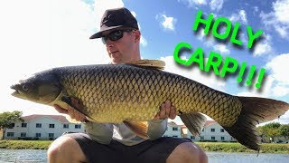 TOPWATER Fishing for BIG Grass Carp How to Catch Grass Carp [upl. by Voletta]