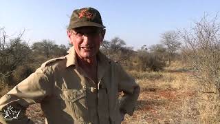 Safari caza mayor BUFALO especie Iconica en Limpopo Sudafrica The Hunters Dream Safari [upl. by Nnaegroeg]