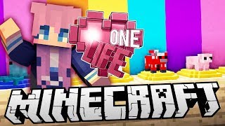 Kawaii Collectibles  Ep 13  Minecraft One Life 20 [upl. by Analed229]