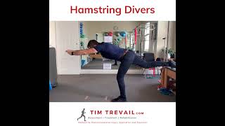 Hamstring Diver Exercise  part of the Askling LProtocol [upl. by Pincus769]