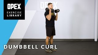 Dumbbell Curl  OPEX Exercise Library [upl. by Annehs]