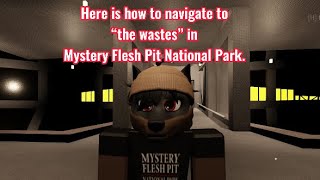 How to get to the WASTES in Mystery Flesh Pit National Park 🥩 [upl. by Barsky]