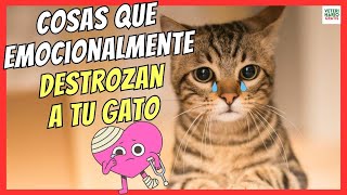 🔴 10 COSAS QUE EMOCIONALMENTE HACEN DAÑO A TU GATO 🔴 [upl. by Ocker]