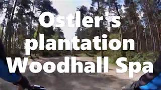 MTB Ostlers plantation Woodhall Spa [upl. by So77]