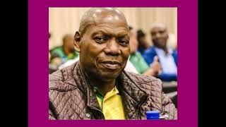 VBS Bank Scandal ANC and SACP in Spotlight [upl. by Kcirtapnhoj]