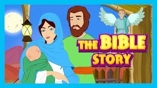 The Bible Story  Stories of Jesus  Bible and Other Story Collection For Kids [upl. by Yekcin659]