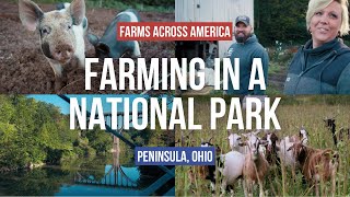 Farming with Fainting Goats in Ohio’s National Park  Farms Across America [upl. by Aneeuqal]