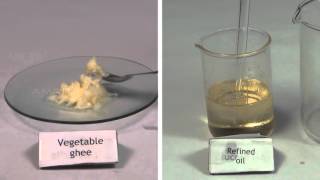 Qualitative Analysis of Oil and Fats  MeitY OLabs [upl. by Sida793]