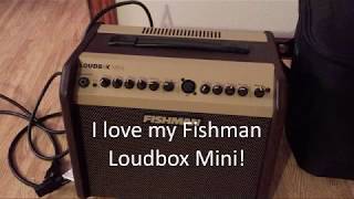 Fishman Loudbox Mini Carrying Bag  soft side cooler [upl. by Enihpled593]