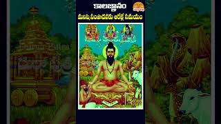 మనిషి సంపాదించడానికి ఉన్న సమయం ఆరేళ్లే 🙏🙏 kalagnanam kalagnanambrahmamgaru shorts ytshorts [upl. by Navetse154]