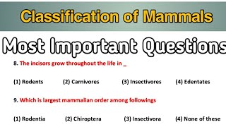 Classification Of Mammals MCQ  Mammalian Orders  Bsc 2nd Year Zoology [upl. by Ehcnalb]