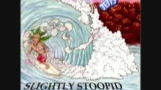 Slightly Stoopid  Mr Music [upl. by Dyche]