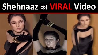 Shehnaaz Gill VIDEO LEAK from Latest Photoshoot  FinalNews [upl. by Eidson811]