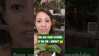 Can you repot orchids in the fall and winter orchid repotting [upl. by Yaya]