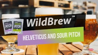 WildBrew Helveticus and Sour Pitch [upl. by Addi290]